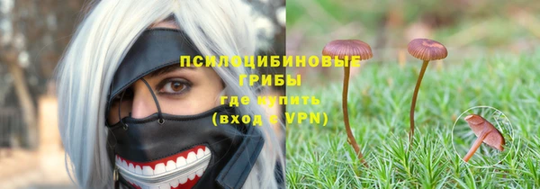 ALPHA PVP Беломорск